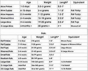 Ball Python Age Size Chart