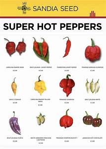  Peppers 2019 Stuffed Peppers Stuffed Peppers Pepper