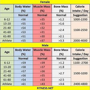 Everything About Muscle Mass Percentage With Charts Fitness Sports