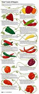 14 Best Scoville Scale Images On Pinterest Chili Chilis And Gardening