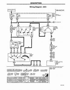 Ignition Wiring Diagram For A 1998 Chevy S10