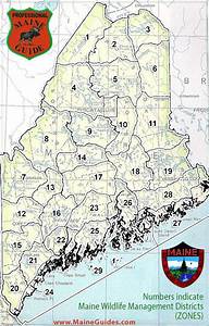 Maine Hunting Hours 2024 Meryl Suellen
