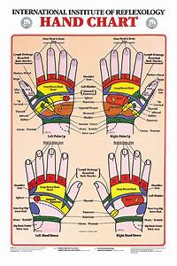 Hand Reflexology Wall Chart 17 X 31