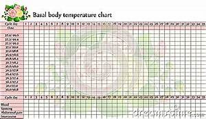 Basal Body Temperature Chart Royalty Free Stock Photos Image 17701368