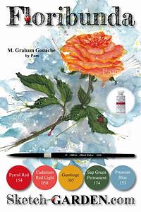 Color A Rose With M Graham Gouache Sketch Garden