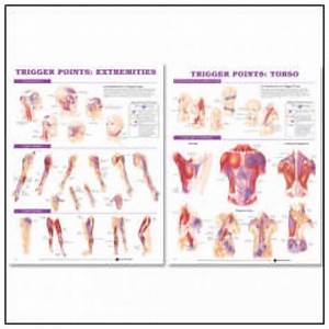 Trigger Points Chart Set