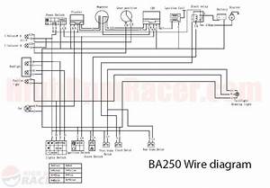 2006 Baja 250 Cc Wiring Diagram