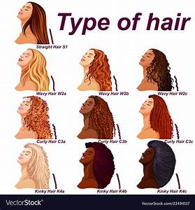 Top 48 Image Different Types Of Hair Thptnganamst Edu Vn