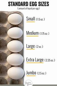 The Different Types Of Eggs Sizes Gavin