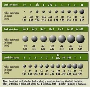 Shot Size Chart Redeye Reloading