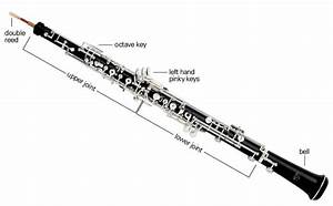 Oboe Buying Guide Comparison Chart Woodwind Brasswind The Music