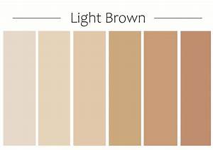 Light Brown Color Chart 1 Modern Design