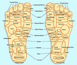 Pressure Points On The Feet Health And Wellness Pinterest