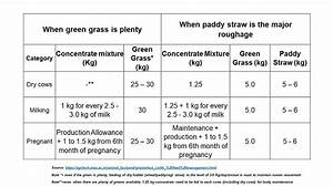 Feeding Management Of Dairy Cattle Part 2
