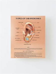 Types Of Ear Piercings Ear Piercing Chart Mounted Print By