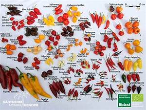 Chile Pepper Id Chart Stuffed Peppers Types Of Chili Peppers