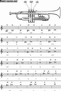 Trumpet Finger Chart Brass Musician The Online Magazine For
