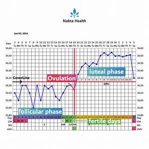 charting your basal body temperature bbt nabta health