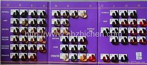 Hair Color Chart Chart 002 Oem China Manufacturer Personal Care