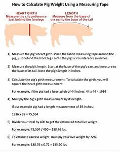 Pin By Worldwide Mini On Mini Pig Weight And Measurement In 2021 Pig
