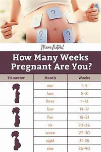 How Many Months Is 21 Weeks Chart How Many Months Am I If Im