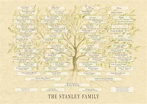 Large Genealogy Family Tree Chart