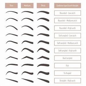 Poster Of Eyebrow Shapes Various Types Of Eyebrows Classic Type And