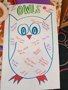 Owl Learning Chart Owl Learning Owl Facts Owl