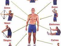 7 Bullworker Ideas Workout Chart Isometric Exercises Exercise
