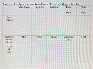 Solved Anatomical Analysis In Chart Form Power Phase Only Chegg Com