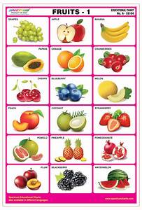 buy spectrum fruits 1 pre primary kids learning educational laminated