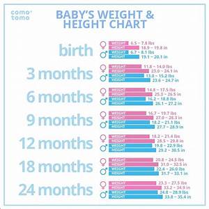 baby weight and height chart comotomo comotomo comotomo products