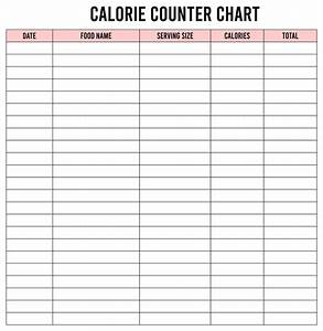 10 Best Printable Food Calorie Chart Printablee Com