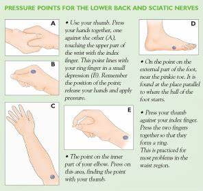 Pressure Points For The Lower Back And Sciatic Nerve A Little Bit Of