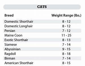 Cat Weight Chart Archives My Kitty Caremy Kitty Care