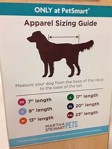 Martha Stewart Dog Apparel Size Chart Dog Clothes Jacket Dog