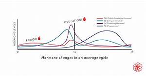Progesterone Definition Levels Symptoms Of Low Progesterone And More