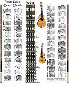 Amazon Com Puerto Cuatro Chords Chart Musical Instruments