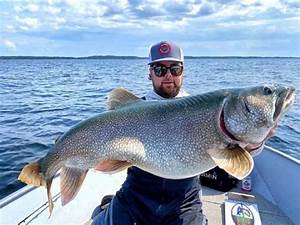 How Big Do Lake Trout Get Average And Record Sizes Strike And Catch