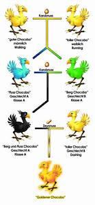 94 Best Chocobo Images On Pinterest Videogames Video Games And
