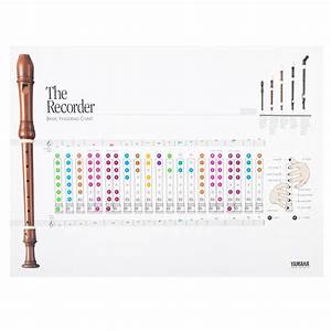 Recorder Notes Chart Free Printable Recorder Notes Display Posters
