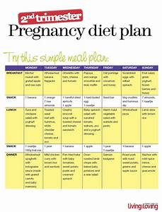 Pin On Your Pregnancy Trimesters