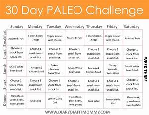 30 Day Paleo Challenge Diary Of A Fit 30 Day Paleo Challenge