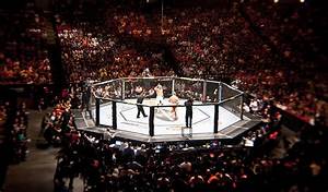 What Are The Best Seats For Ufc Page 2 Sherdog Forums Ufc Mma