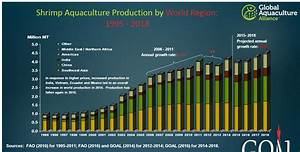 World Fish Meal And Fish Oil Industry Global Shrimp Production To Hit