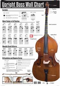 Upright Bass Wall Chart Sheet Music Sheet Music Plus Upright Bass