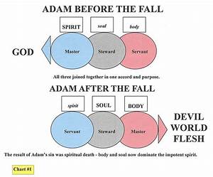 Adam Before And After The Fall Perfecting Of The Saints