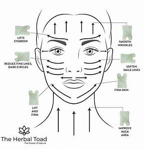 Benefits And Technique For Gua Sha Facial The Herbal Toad