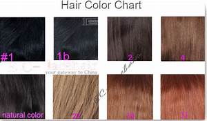 Stock 27 Full Lace Human Hair Wigs Maker Wholesale Full Lace Wigs