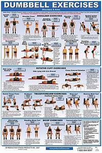 Arm Exercises Chart Google Search Exercises Pinterest Archery